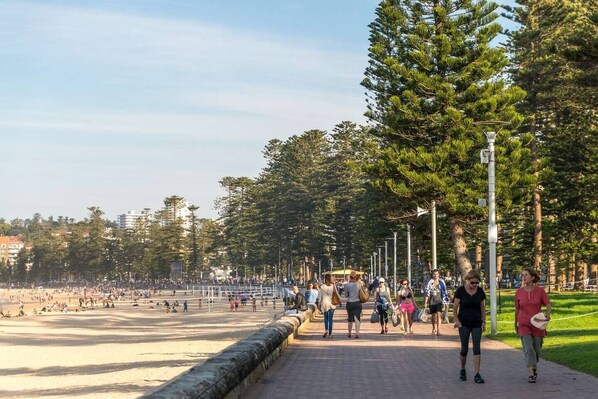 A coastal walkway with a beach, trees, and a clear sky. - Bright & Peaceful Top-Floor Retreat with Harbour Views (Manly)