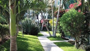 Ein Weg, gesäumt von üppiger Vegetation und Palmen, führt zu einem Gebäude mit weißer Fassade.