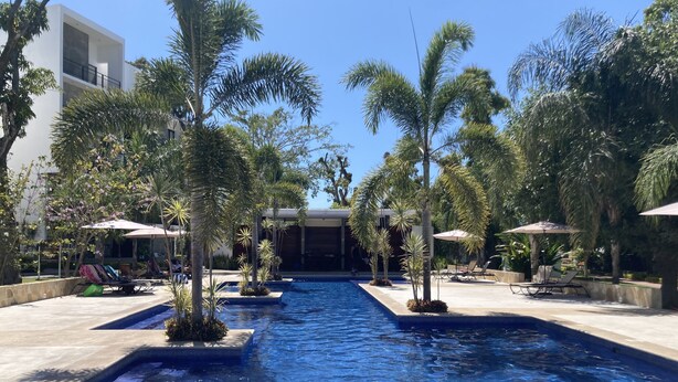 A pool area with lounge chairs and umbrellas, surrounded by palm trees and a clear blue sky.