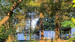 Un cadre naturel avec un ruisseau, des arbres et une petite construction en bois.