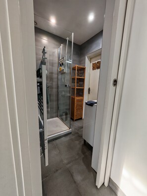 Shower, hair dryer