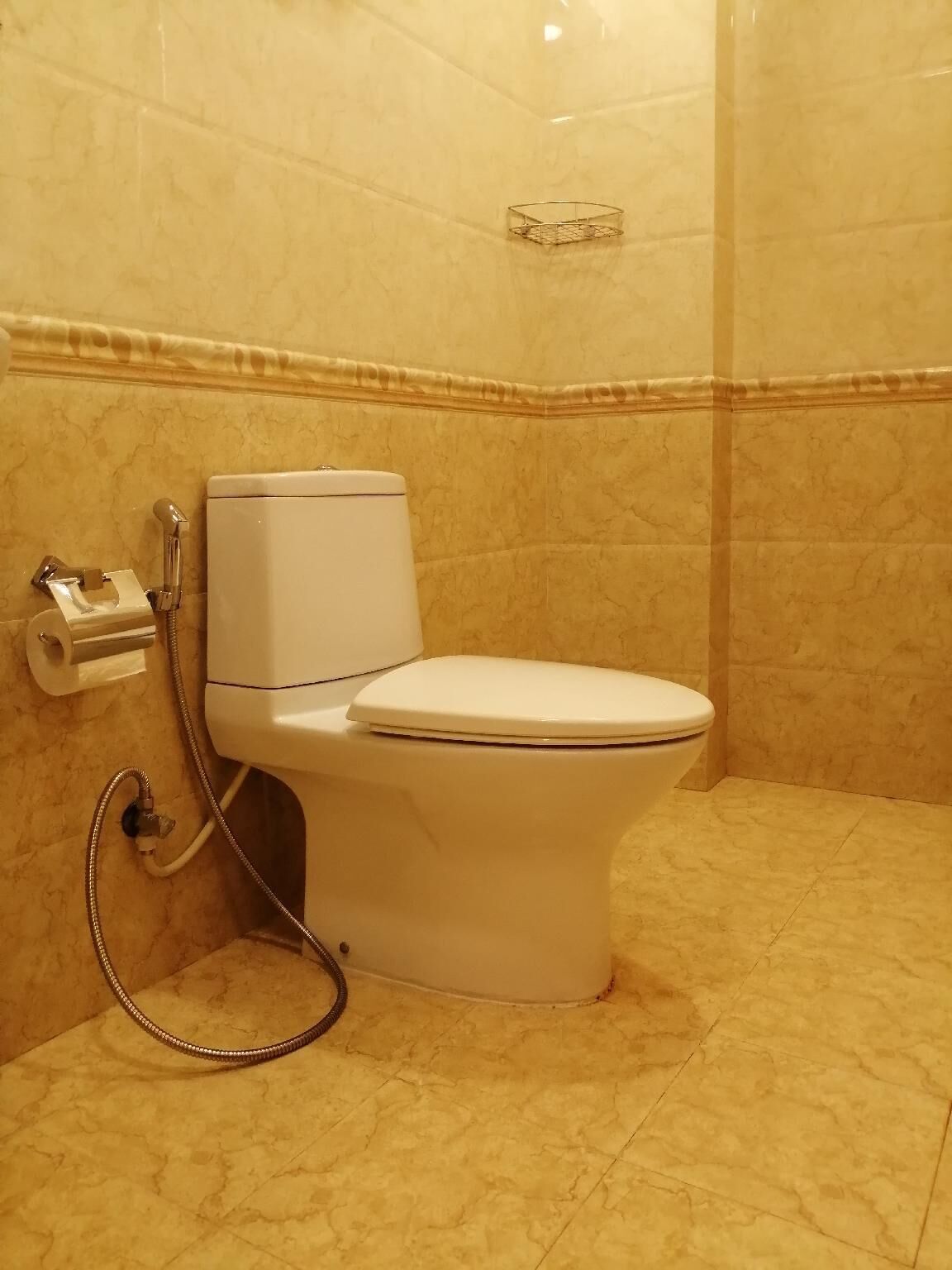 A bathroom with a toilet, a paper towel dispenser, and a shower hose.