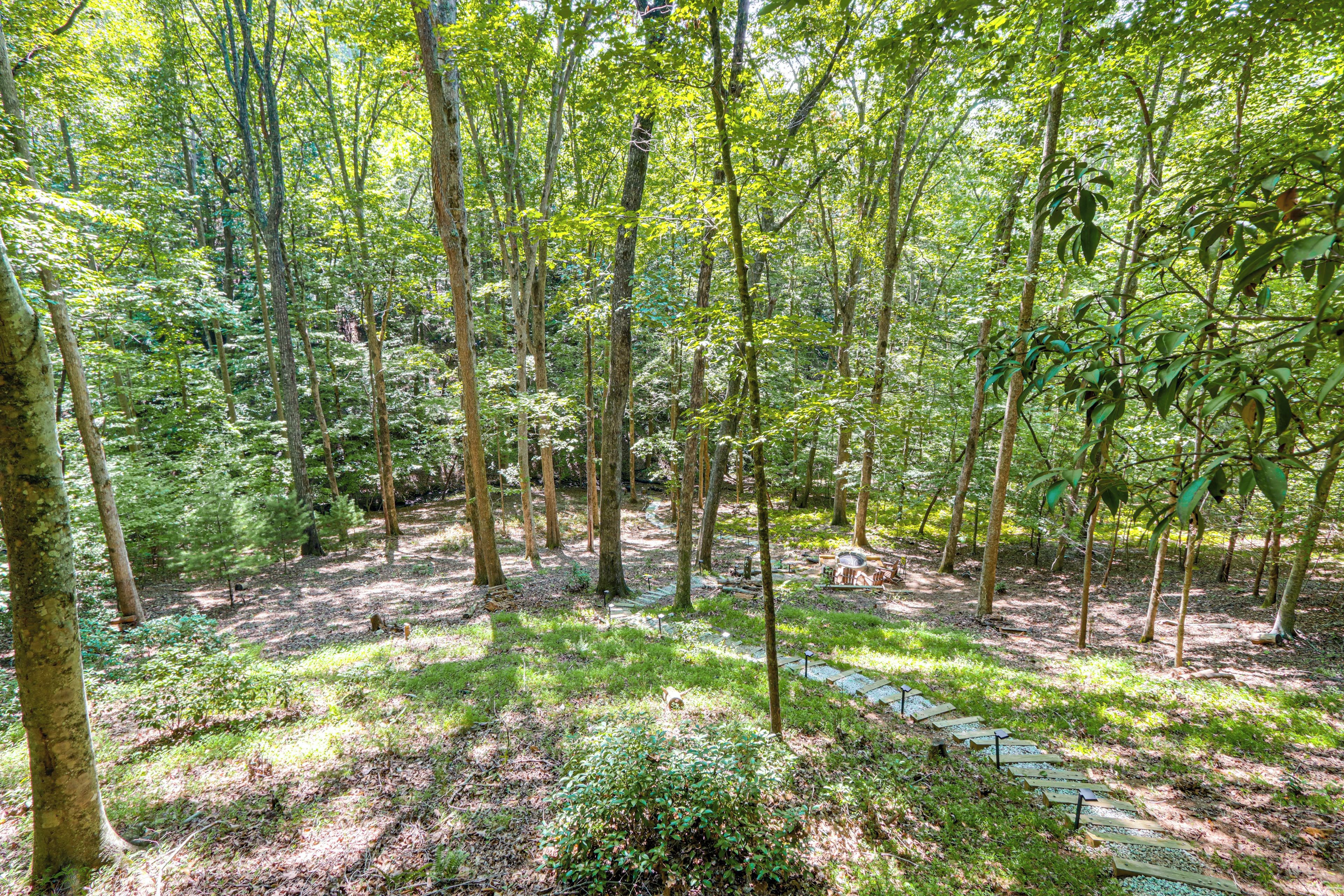 A forested area with a clear path and a fire pit.