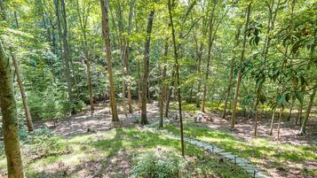 A forested area with a clear path and a fire pit.
