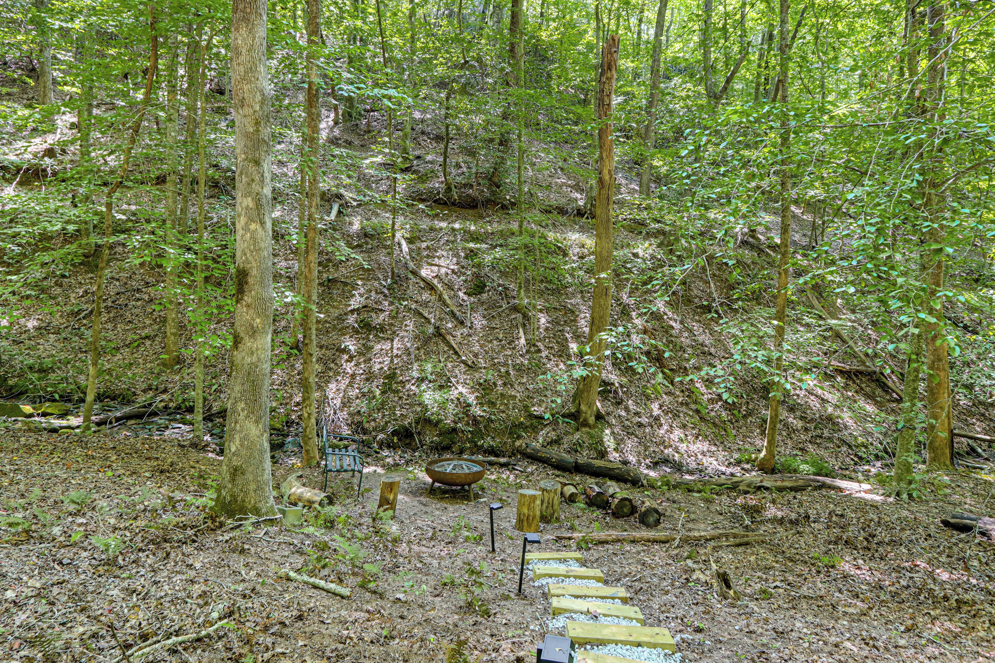 A forested area with a wooden pathway leading through it.
