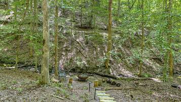 A forested area with a wooden pathway leading through it.