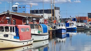 Un port de plaisance avec plusieurs bateaux amarrés, un bâtiment rouge et un bâtiment bleu en arrière-plan.