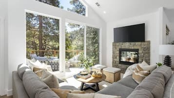 TV, fireplace, video games, books