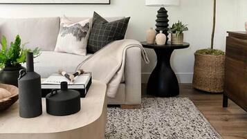 TV, fireplace, video games, books