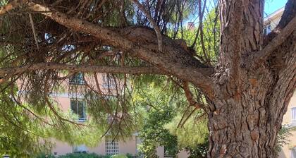 1 Bedroom Apartment in Vitrolles
