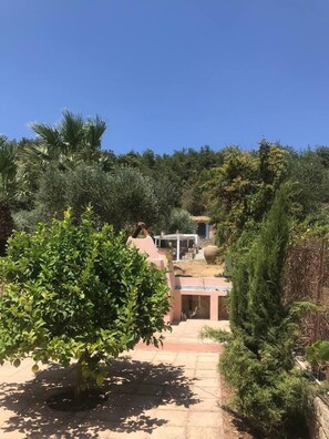 A garden area with a pathway leading to a building, surrounded by various types of greenery. - Private Two-house Villa With Pool in Olive Garden (Archanes-Asterousia)