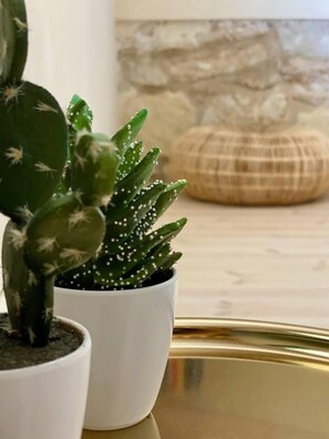 Two potted cacti on a reflective surface. - Private Two-house Villa With Pool in Olive Garden (Archanes-Asterousia)