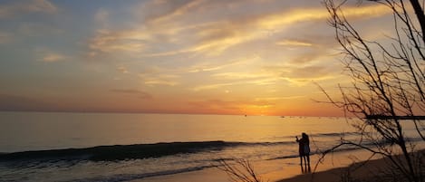 Strand