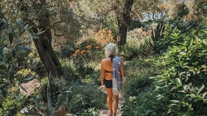 Une femme marchant sur un sentier de pierres, entourée d’une végétation luxuriante et d’arbres.