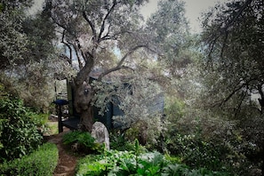 Property grounds - Happinest Treehouse - A magical cabin by the sea with amazing views. (Magnesia)