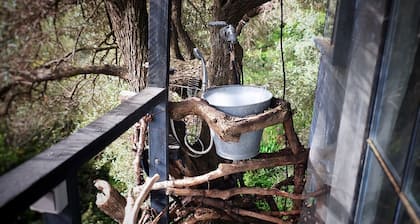 Happinest Treehouse - A magical cabin by the sea with amazing views.