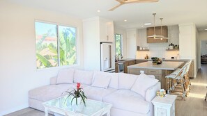 Smart TV, fireplace, books, music library