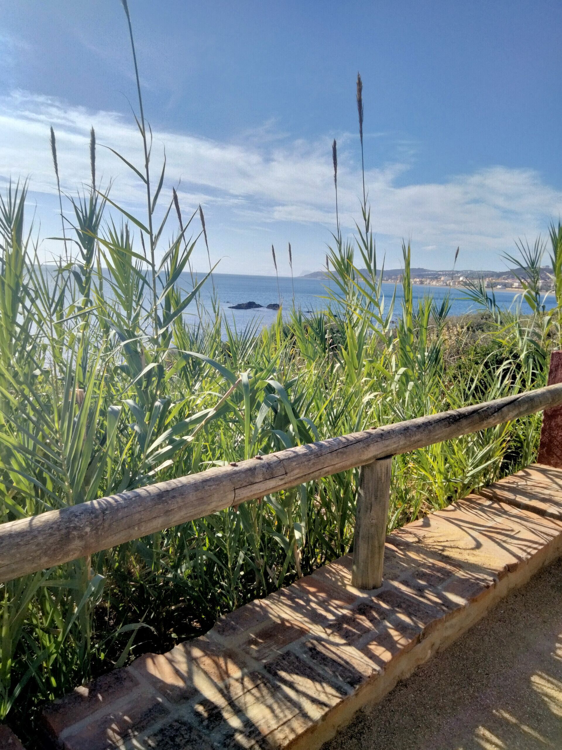 A coastal walkway with a wooden railing, leading to a beach with tall grasses and a clear view of the sea and distant land.
