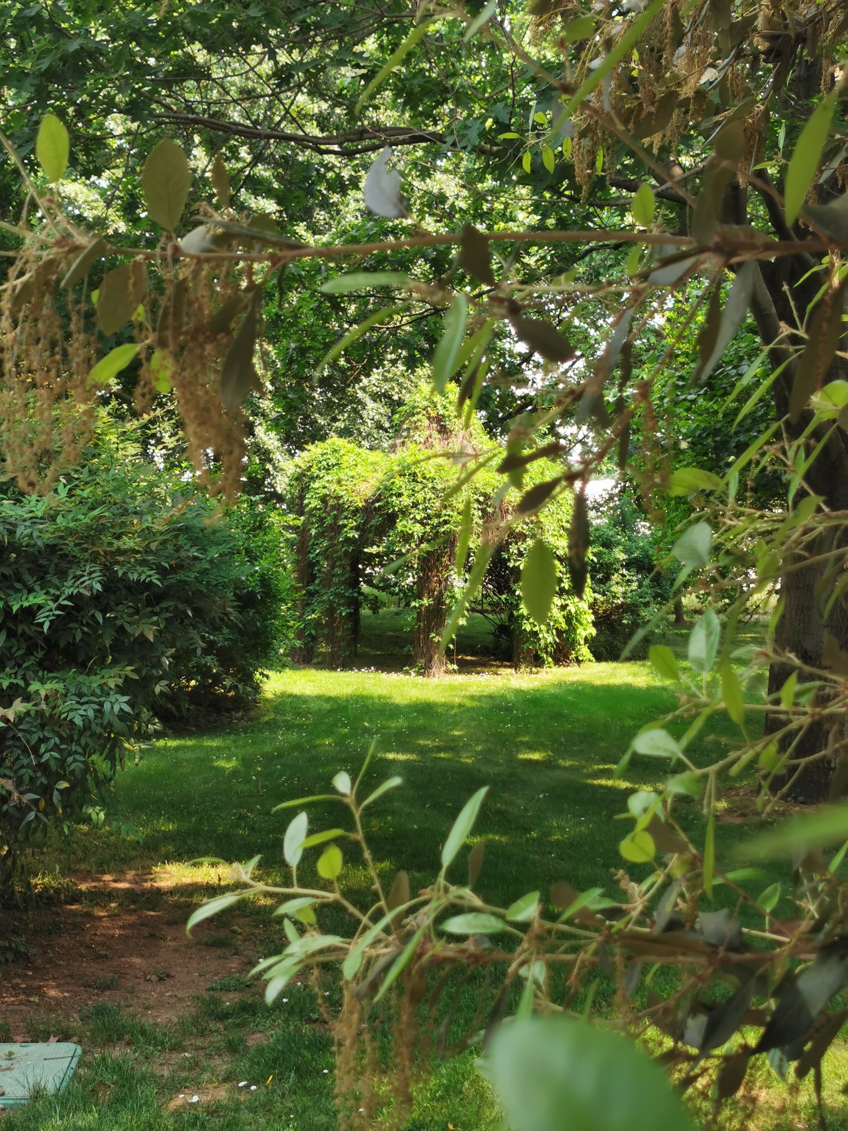 Parco della struttura
