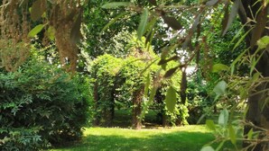 Ein üppiger Garten mit verschiedenen Bäumen und Sträuchern, einer Rasenfläche und einem Feldweg.
