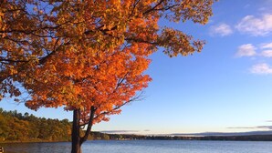 Une vue sur le lac, avec un arbre imposant aux feuilles d’automne aux couleurs éclatantes.