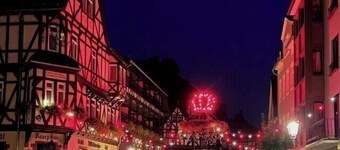 Modern apartment in the beautiful World Heritage Upper Middle Rhine Valley