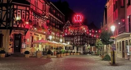 Modern apartment in the beautiful World Heritage Upper Middle Rhine Valley