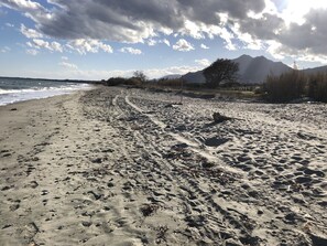 Strand