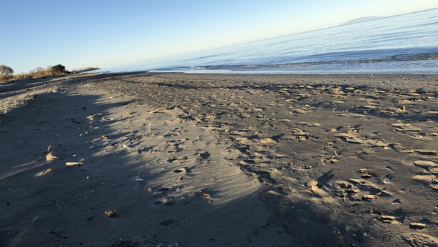 Strand