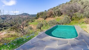 A swimming pool with a curved edge, surrounded by stone tiles, set against a hillside with trees and a clear sky.