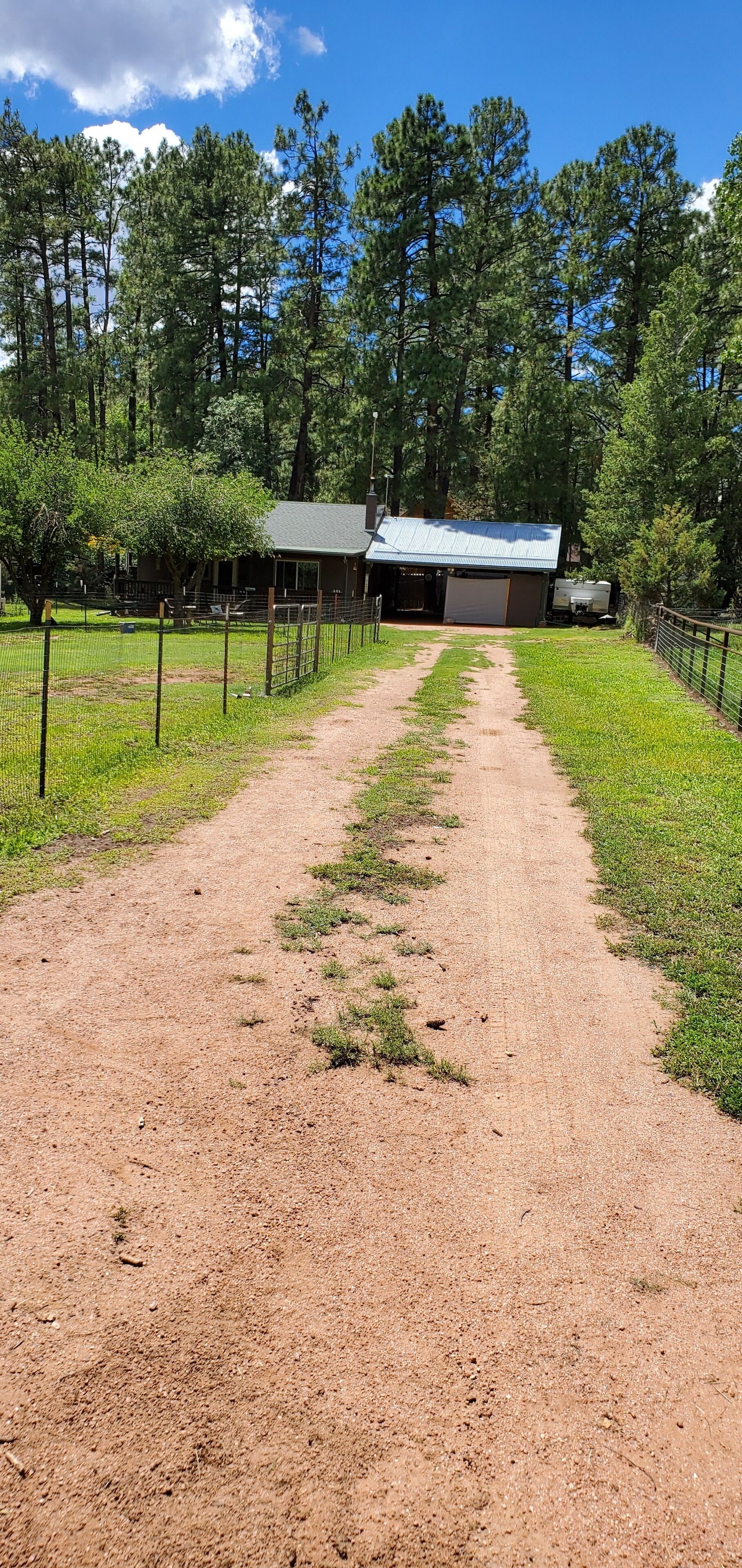 Quiet cabin nestled under Mogollin Rim in Payson, United States