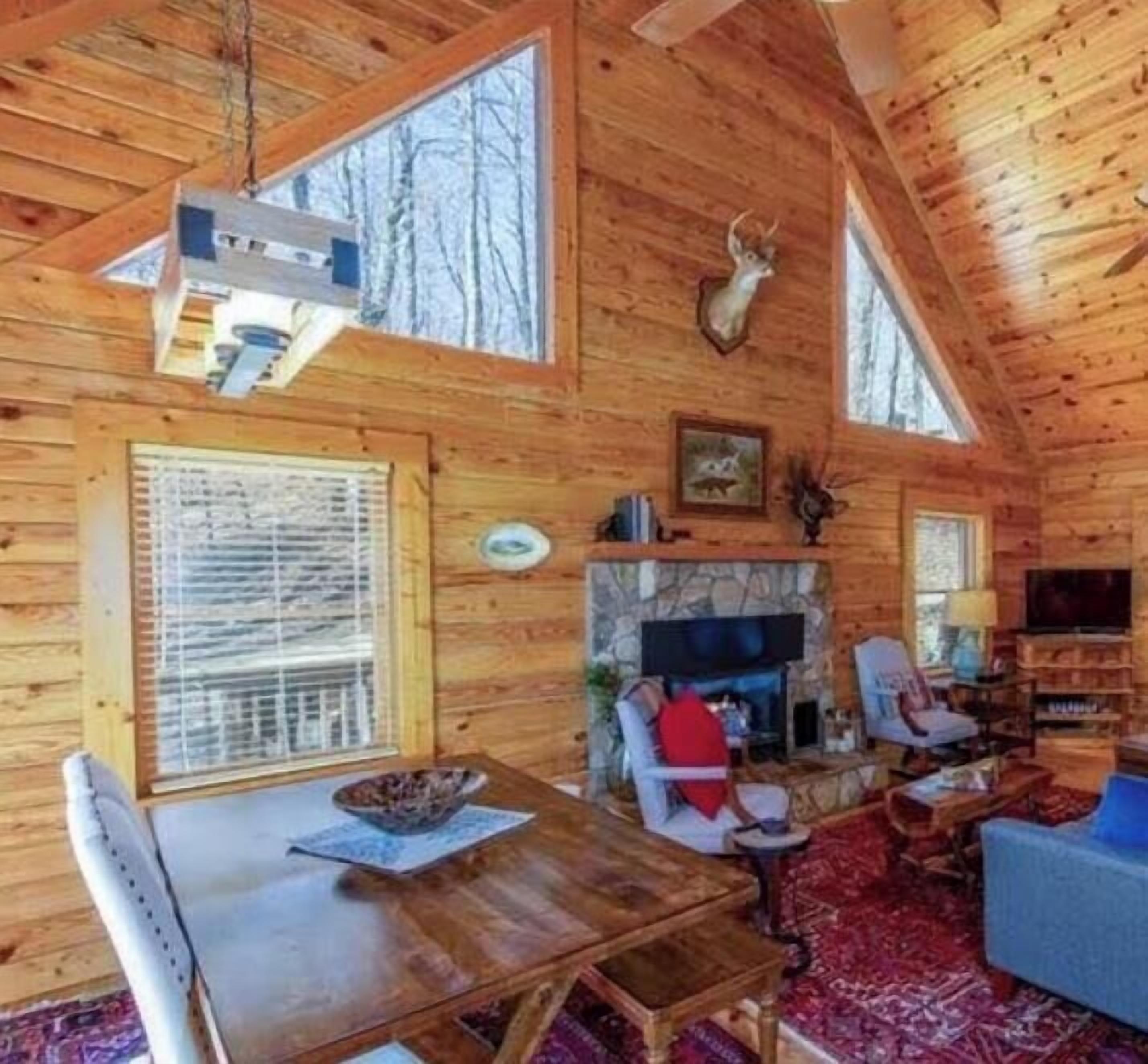 Smart TV, fireplace, DVD player, books