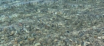 Nel villaggio il monolocale tra gli ulivi a 500 metri dal mare