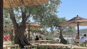An outdoor seating area with wooden tables and thatched umbrellas, surrounded by olive trees and a view of the sea. - Villa Oliwa (Vinisce)
