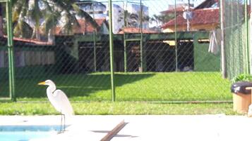 Vista do quarto