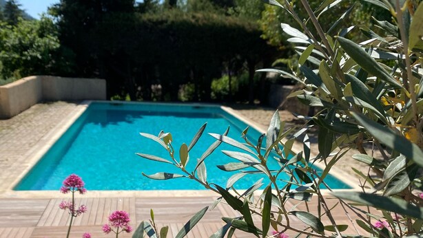 A rectangular swimming pool with a wooden deck surrounding it, set in a landscaped garden with various plants and flowers. - Lovely 2-room apartment in the heart of Esterel with swimming pool (Les Adrets-de-l'Estérel)