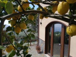 Außendetails