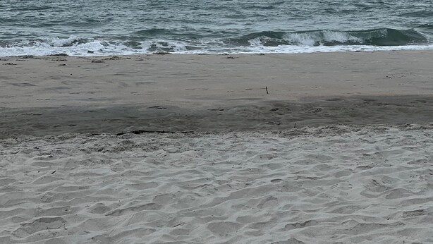 Una playa con arena y el océano al fondo.