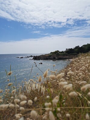 Playa en los alrededores y camastros