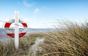 Tæt på stranden, fiskeri