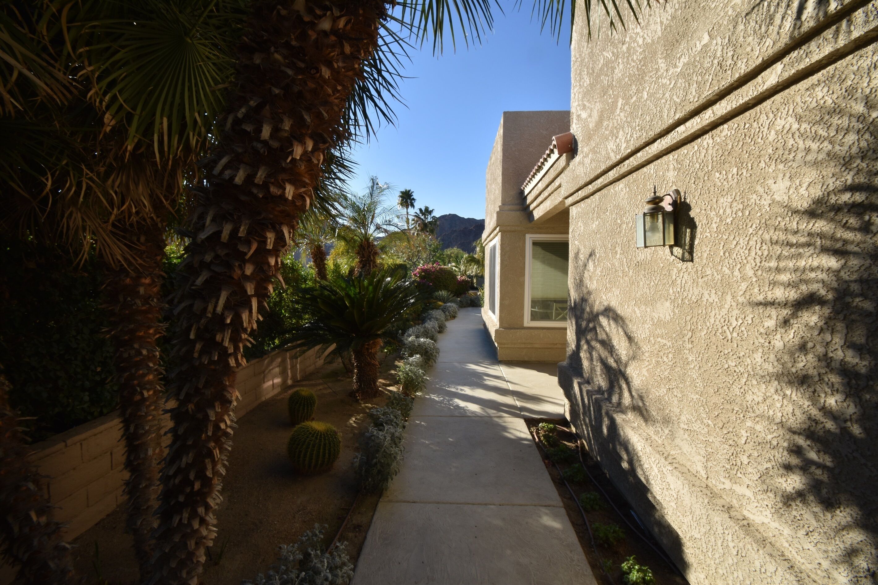 Un sendero estrecho bordeado por palmeras y cactus, que conduce a un edificio con fachada texturizada y un farol colgante.