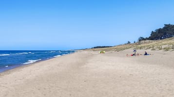 Beach nearby, fishing