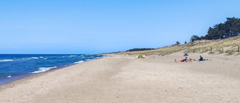 Beach nearby, fishing