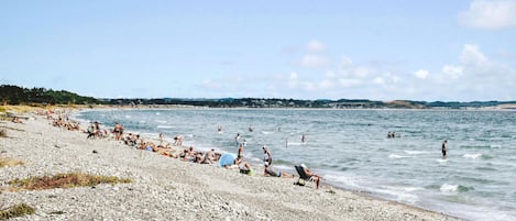 在海灘附近、釣魚