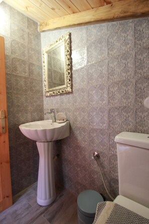 Shower, hair dryer, towels, shampoo