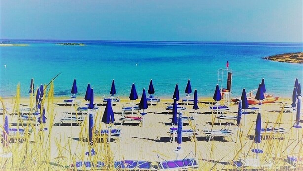 A beach with rows of blue umbrellas and lounge chairs, a clear blue sea, and a distant island.