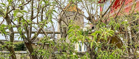 Terrain de lâhĂ©bergement
