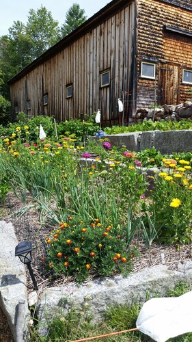 Fabulous, restful, studio with AC in charming Hopkinton