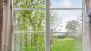 Ein Fenster mit Blick auf ein grünes Feld und Bäume.