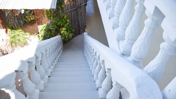 A staircase with white balustrades leading to a covered area with plants and a corrugated metal roof. - Brisa Del Mar (Isla Holbox)
